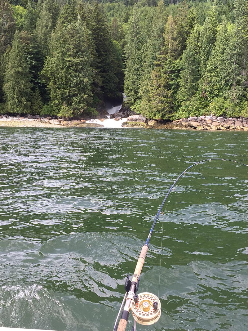 Bute Inlet: Paradise River