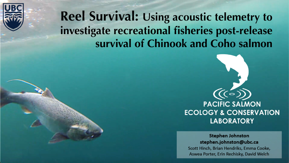 Reel Survival: Using acoustic telemetry to investigate recreational fisheries post-release survival of Chinook and Coho salmon